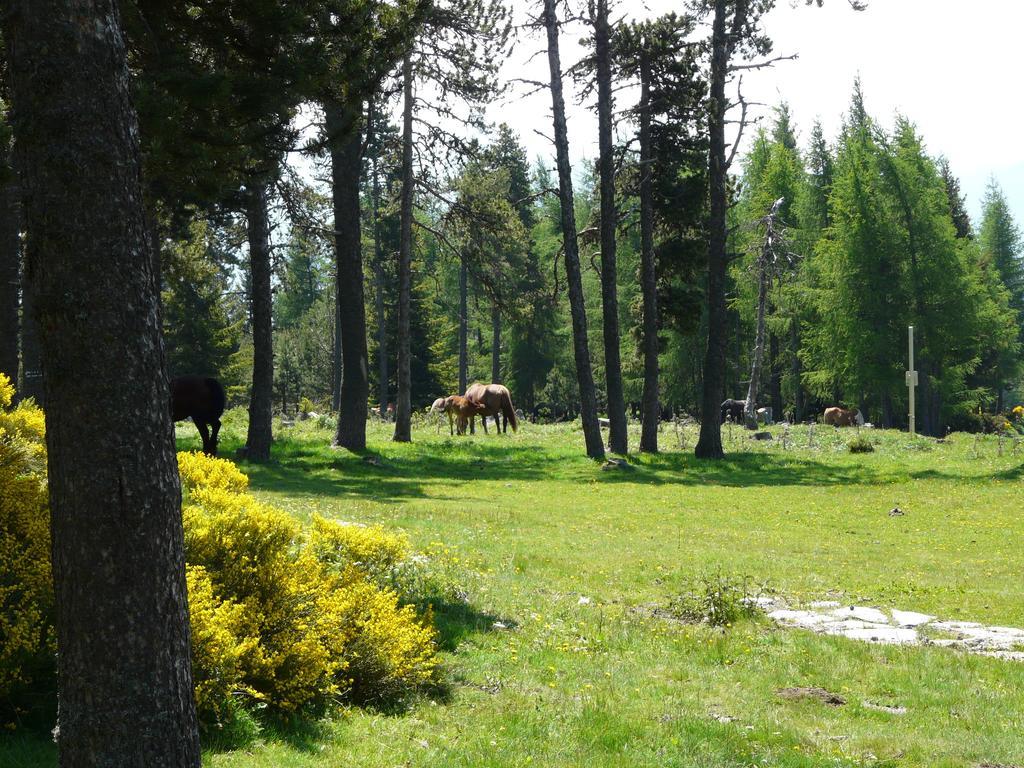 Апартаменты Font Romeu Via Номер фото